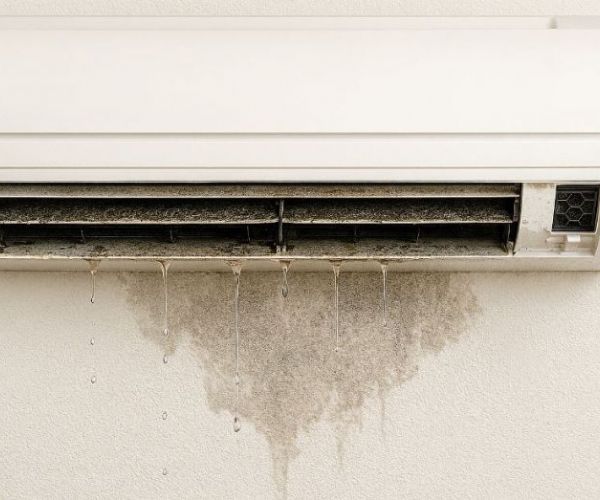 冷氣為什麼長年會漏水？停機積水、發霉與蚊蟲滋生真相大公開